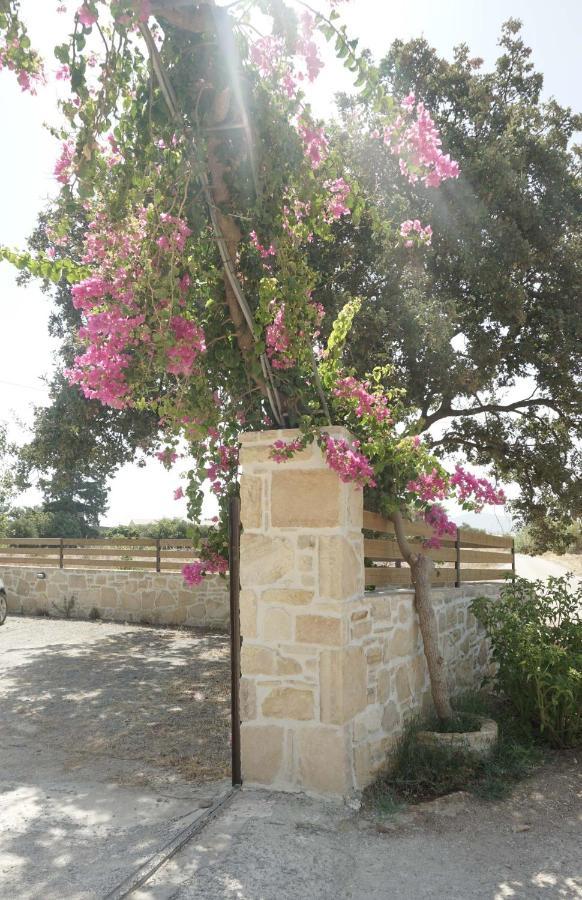 Studio Panagiota - Oasis Holiday Houses Kokkinos Pirgos Exterior foto